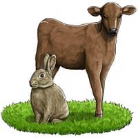 5-x-800-gr-lieblings-mahlzeit-teraviljavaba-konserv-koertele-vasika-ja-janeselihaga-1-1.jpg 6 x 800 gr. Liebling´s Mahlzeit TERAVILJAVABA konserv koertele vasika- ja jäneselihaga