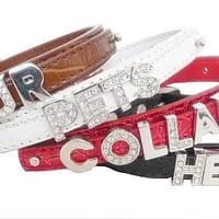 dekoratiivkaelarihm-teie-koera-nimega-1-1.jpg Roosa dekoratiivkaelarihm Teie koera nimega, suurused S ja L saadaval