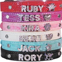 dekoratiivkaelarihm-teie-koera-nimega-1-2.jpg Helesinine dekoratiivkaelarihm Teie koera nimega