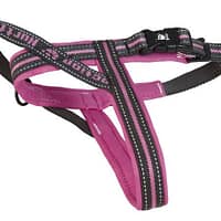 hurtta-rohelised-traksid-2.jpg Hurtta roosad traksid, rinnaümbermõõt 120 cm.