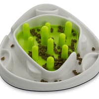 interaktiivne-kauss-maenguasi.jpg Interaktiivne kauss-mänguasi