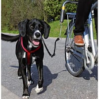 jalgratta-kinnitus-koera-jooksutamiseks.jpg Jalgratta kinnitus koera jooksutamiseks