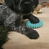 kliendi foto Piparmündimaitseline rōngas närimiseks