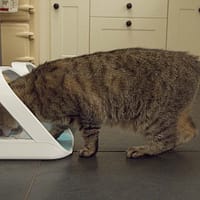 Mikrokiibilugejaga automaatne sööginõu