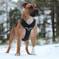 pehmendustega-traksid-roosa-1-19.jpg Pehmendustega traksid ( mustad )