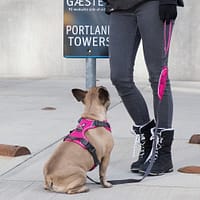 pehmendustega-traksid-roosa-1-3.jpg Pehmendustega traksid ( roosad )