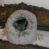 pesa-astana-3.jpg Koobaspesa Astana