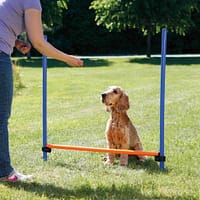 reguleeritava-korgusega-toke-1.jpg Reguleeritava kõrgusega tõke