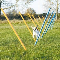 slaalomi-komplekt-1.jpg Slaalomi komplekt