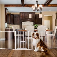 supergate Carlson SuperGate kutsikaaedik - turvapiire kõrgus 71 cm. ( sisetingimustes kasutamiseks)