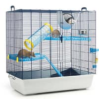 tuhkrule-voi-rotile-puur-1.jpg Tuhkrule või rotile puur