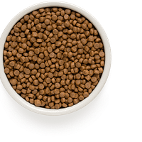 puppy 10 kg. Grandorf täissööt igas suuruses kutsikatele lambaliha & pruuni riisiga