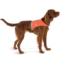 brava vest Oranž helkurvest koertele