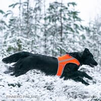 vest3 Oranž helkurvest koertele