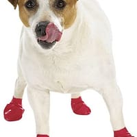 punased PAWZ kummipapud S 12 tk.