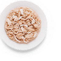 cat-Chicken-fillet-salmon 6 x 70 gr. Grandorf teraviljavaba konservtoit kassidele kanaliha ja lõhega