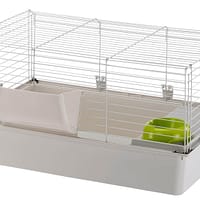 cavie 80 Eest avatav puur Cavie 80 merisigadele