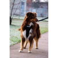 neewa-traksid-running (5) Pehmendustega Neewa traksid