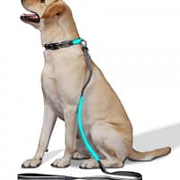 led-valgusega-tekstiilist-jalutusrihm-koerale-must2 LED-valgusega mustast tekstiilist jalutusrihm, 8 valgusrežiimi