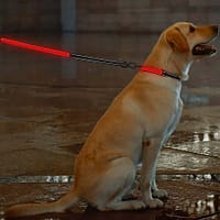 led-valgusega-tekstiilist-jalutusrihm-koerale-must7 LED-valgusega mustast tekstiilist jalutusrihm, 8 valgusrežiimi