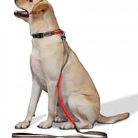 led-valgusega-tekstiilist-jalutusrihm-koerale-pruun2 LED-valgusega pruunist tekstiilist jalutusrihm, 8 valgusrežiimi