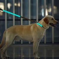 led-valgusega-tekstiilist-jalutusrihm-koerale-pruun6 LED-valgusega pruunist tekstiilist jalutusrihm, 8 valgusrežiimi