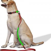 led-valgusega-tekstiilist-jalutusrihm-koerale-punane2 LED-valgusega mustast tekstiilist jalutusrihm, 8 valgusrežiimi