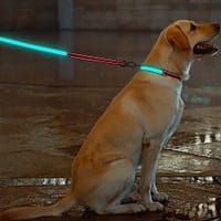 led-valgusega-tekstiilist-jalutusrihm-koerale-punane5 LED-valgusega mustast tekstiilist jalutusrihm, 8 valgusrežiimi