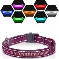 led-valgusega-tekstiilist-kaelarihm-koerale-lilla-8-valgusreziimi-dogness LED valgusribaga lilla kaelarihm, 8 valgusrežiimi