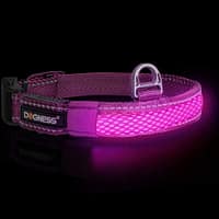 led-valgusega-tekstiilist-kaelarihm-koerale-lilla LED valgusribaga lilla kaelarihm, 8 valgusrežiimi