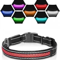 led-valgusega-tekstiilist-kaelarihm-koerale-must-8-valgusreziimi-dogness LED valgusribaga must kaelarihm, 8 valgusrežiimi