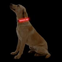led-valgusega-tekstiilist-kaelarihm-koerale-pruun-8-valgusreziimi-dogness LED valgusribaga lilla kaelarihm, 8 valgusrežiimi