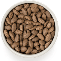 krõbuskid 10 kg. Grandorf täissööt suurt kasvu täiskasvanud koertele lamba-ja kalkuniliha ning pruuni riisiga