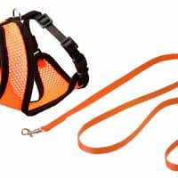 karlie-flamingo-harness-for-cats Flamingo oranžid kassi vesttraksid jalutusrihmaga M-suurus