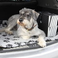 trepp7 Alumiiniumkarkassil trepp kandevõimega kuni 90 kg., kõrgus trepil 45-59 cm.