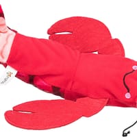 vähk USB kaabli abil laetav mänguasi "Siputav vähk "