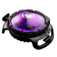 lilla Orbiloc lilla LED ohutuslamp koera rihmale