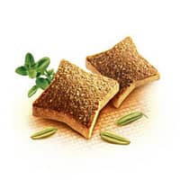 multivit. Brit Vitamins Multivitamin poolniiske toidulisand koertele 150 gr.