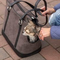 a7 Kandekott Alfie kuni 7 kg. lemmiklooma transpordiks