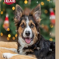 T9268 Trixie advendikalender koertele