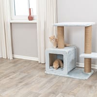 elena1 Kassimaja Elena, kõrgus 83 cm.