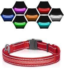 punane LED valgusribaga punane kaelarihm, 8 valgusrežiimi