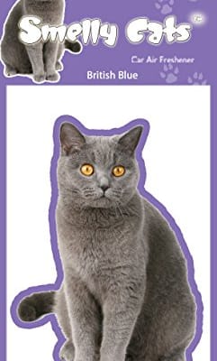 briti sinine Õhuvärskendaja - Briti lühikarvaline kass ( sinine )