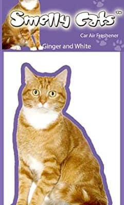 puna-valge Õhuvärskendaja - puna-valge kass