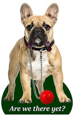 prantslane2 Õhuvärskendaja - Prantsuse buldog ( Fawn )