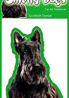 šoti terjer Õhuvärskendaja - šoti terjer