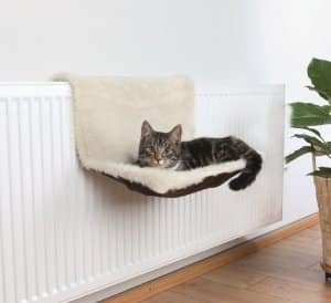 koera-vaip.jpg Magamiskoht Radiaatorile