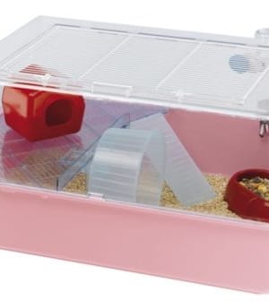 5805.jpg Puur Ferplast Mini Duna kääbusnärilistele, mõõdud p.55 x l.39 x k.27 cm.