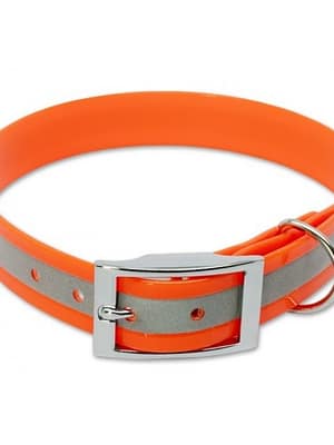 biotaankaelarihm-1.jpg Helkuriga biotaankaelarihm