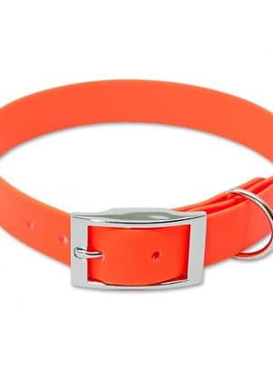 biotaankaelarihm.jpg Biotaankaelarihm